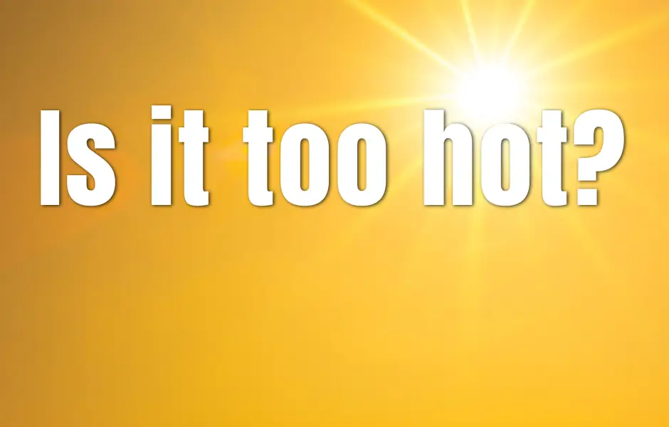 Is it too hot?