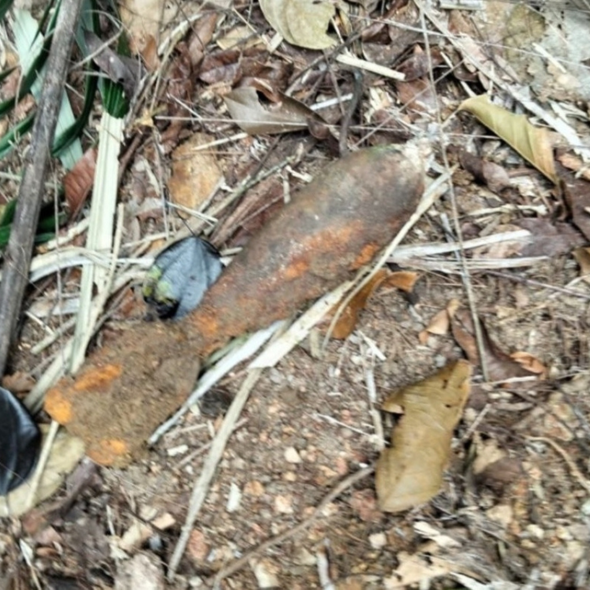 Mortar bomb found near Menora Tunnel causes 15km traffic jam; North-South Expressway reopens after safe detonation.