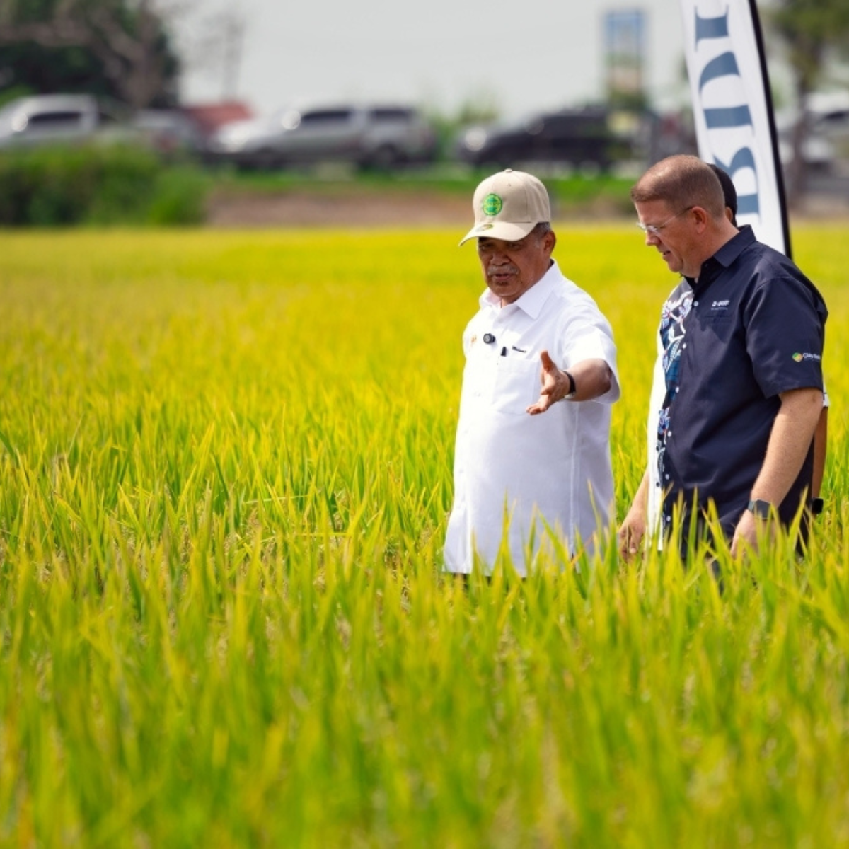 Agriculture Ministry unveils new paddy varieties MR CL3 and MR CL4 to tackle weedy rice issue