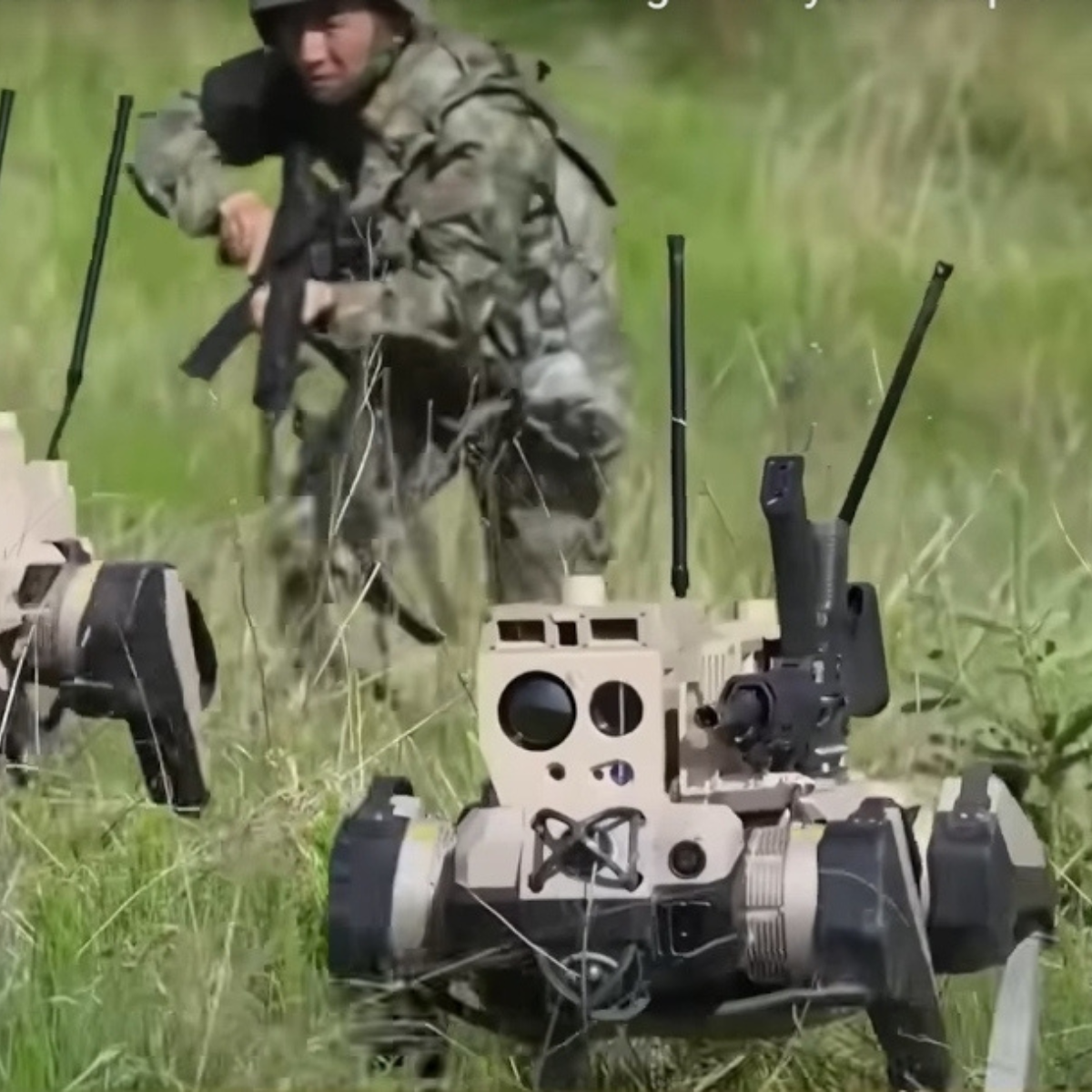 China Deploys Armed 'Robot Wolves' in Latest Military Advancement