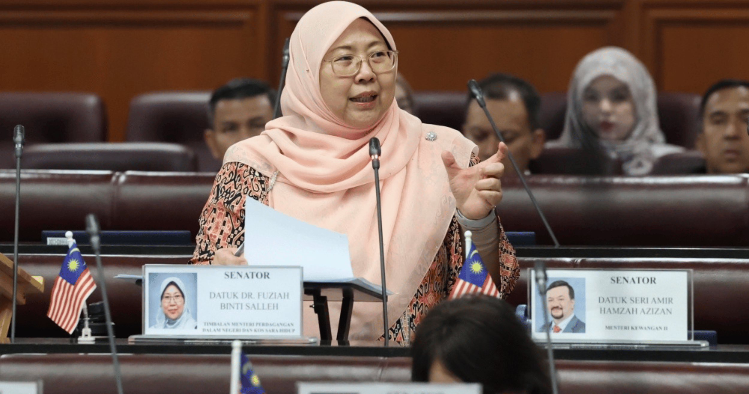 ‘Deputy minister highlights foreigners’ tactic of marrying locals to run businesses’