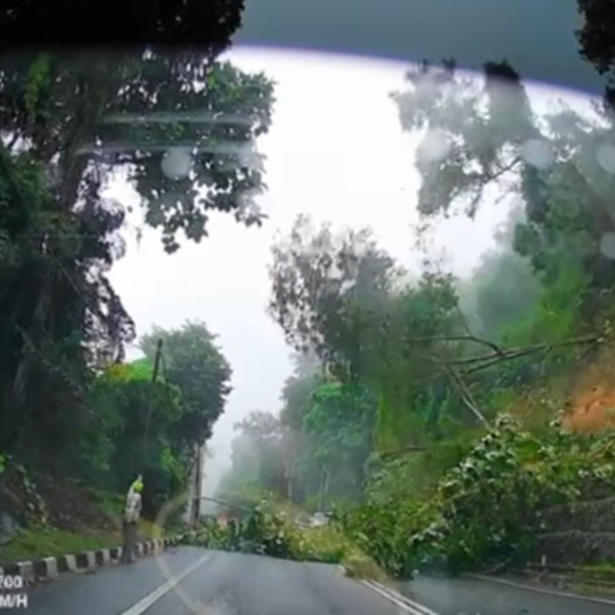 Landslide and fallen trees lead to complete closure of Jalan Tun Sardon in Balik Pulau