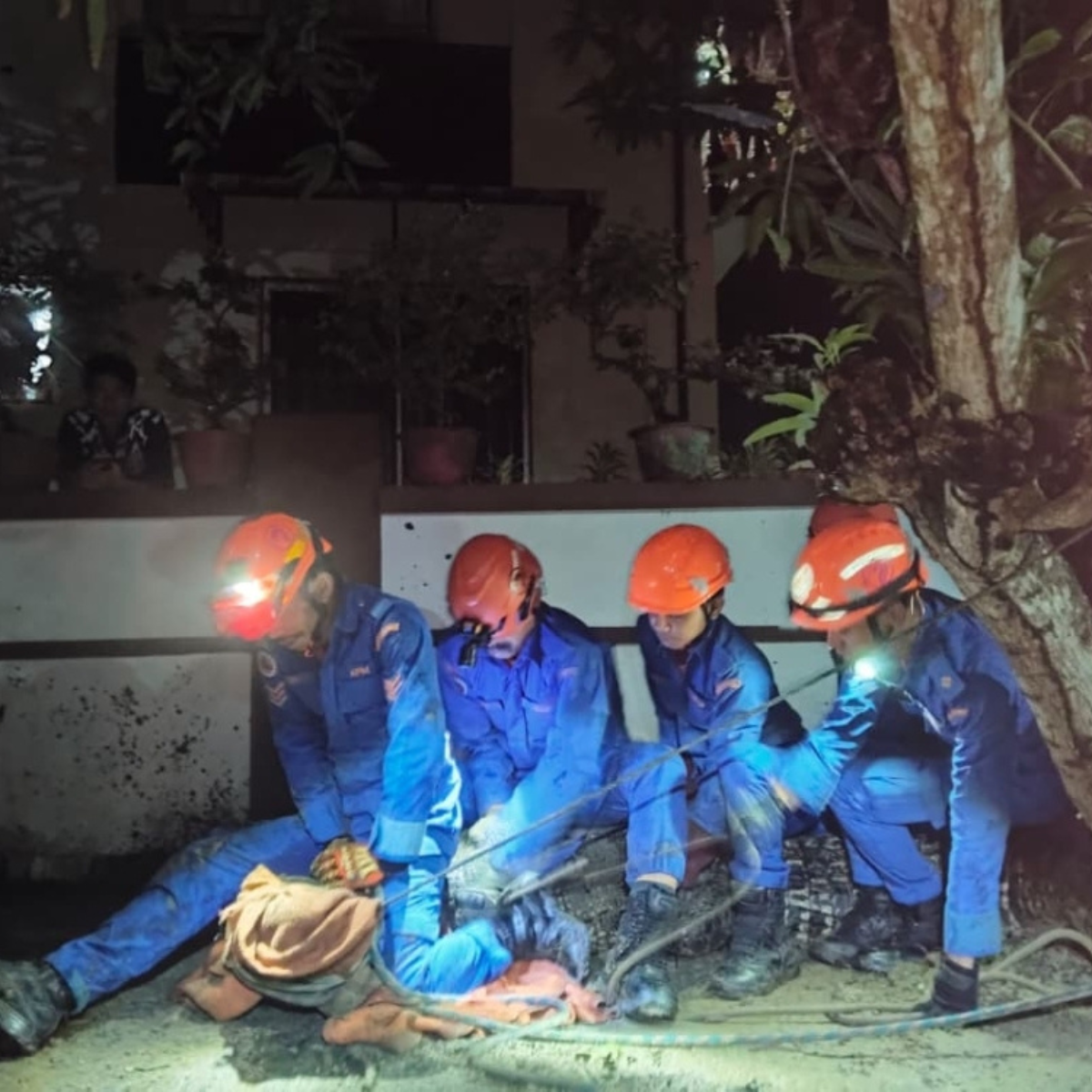 Dog’s close call ends with 200kg crocodile captured under Sandakan house