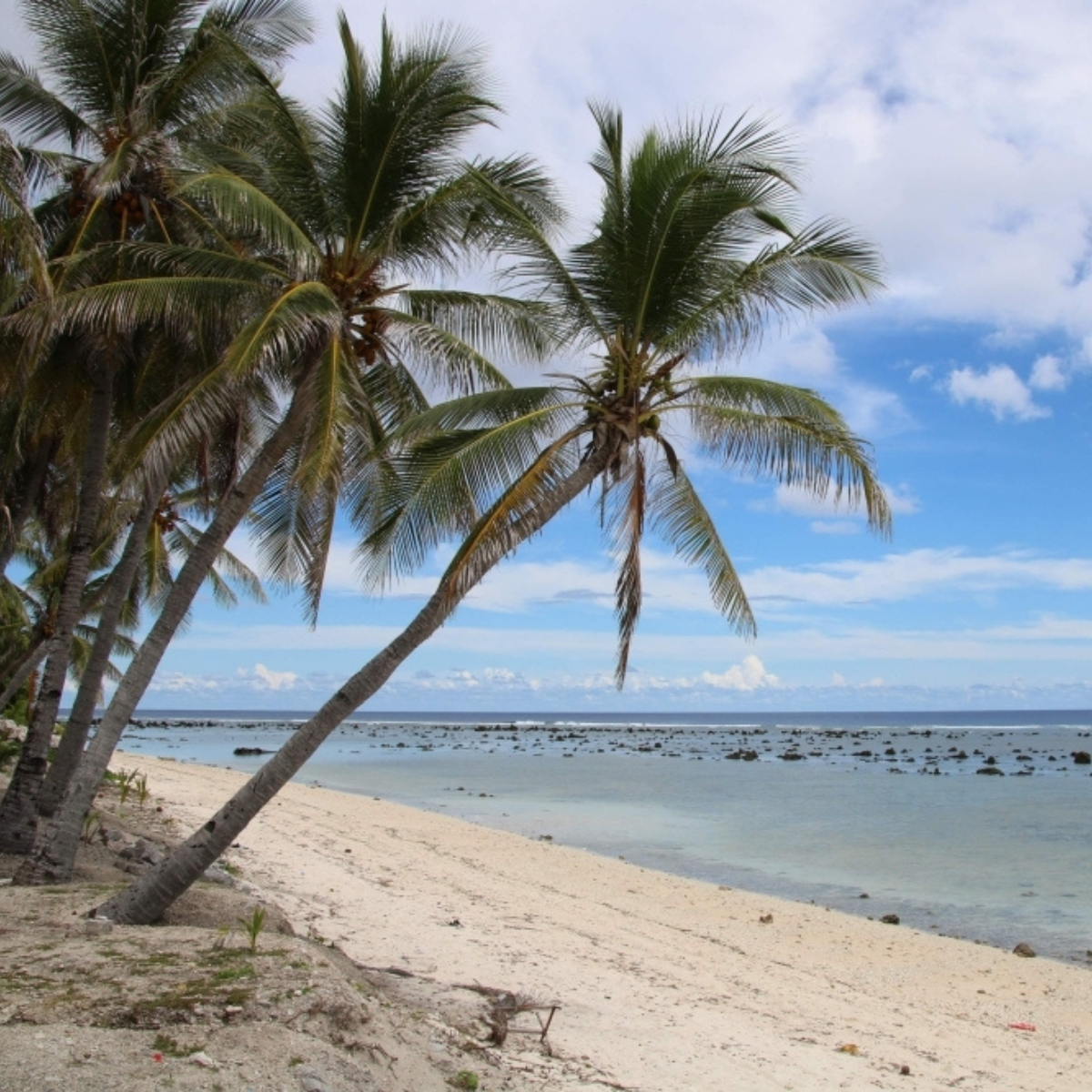 Australia transfers former detainees to Nauru under secretive multi-million dollar agreement