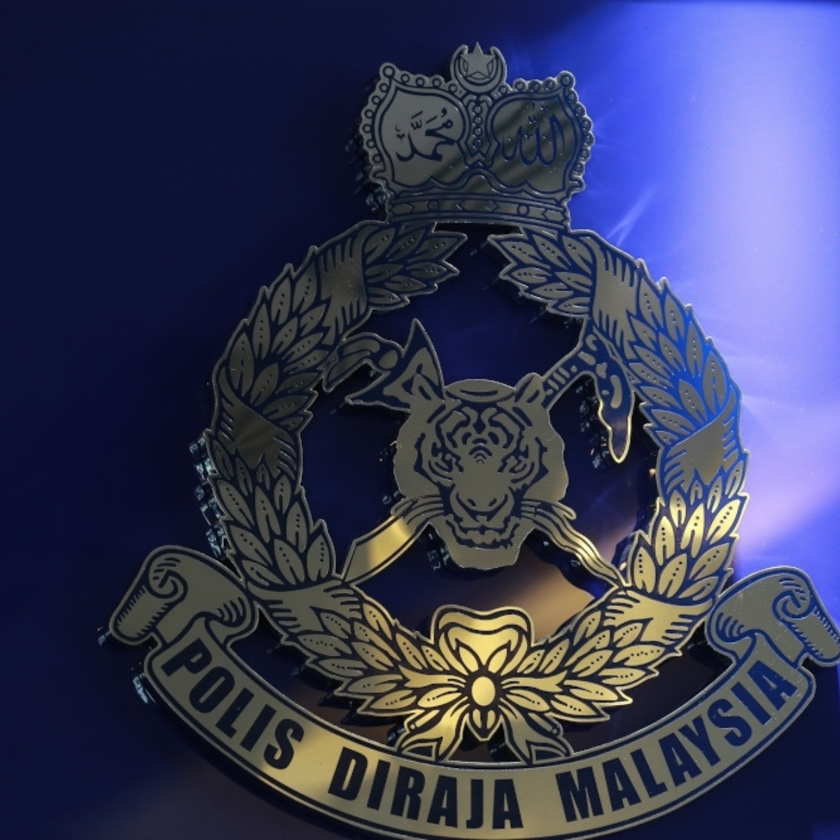 Penang council files police and MCMC reports over viral video, says allegations about shophouse project are unfounded.