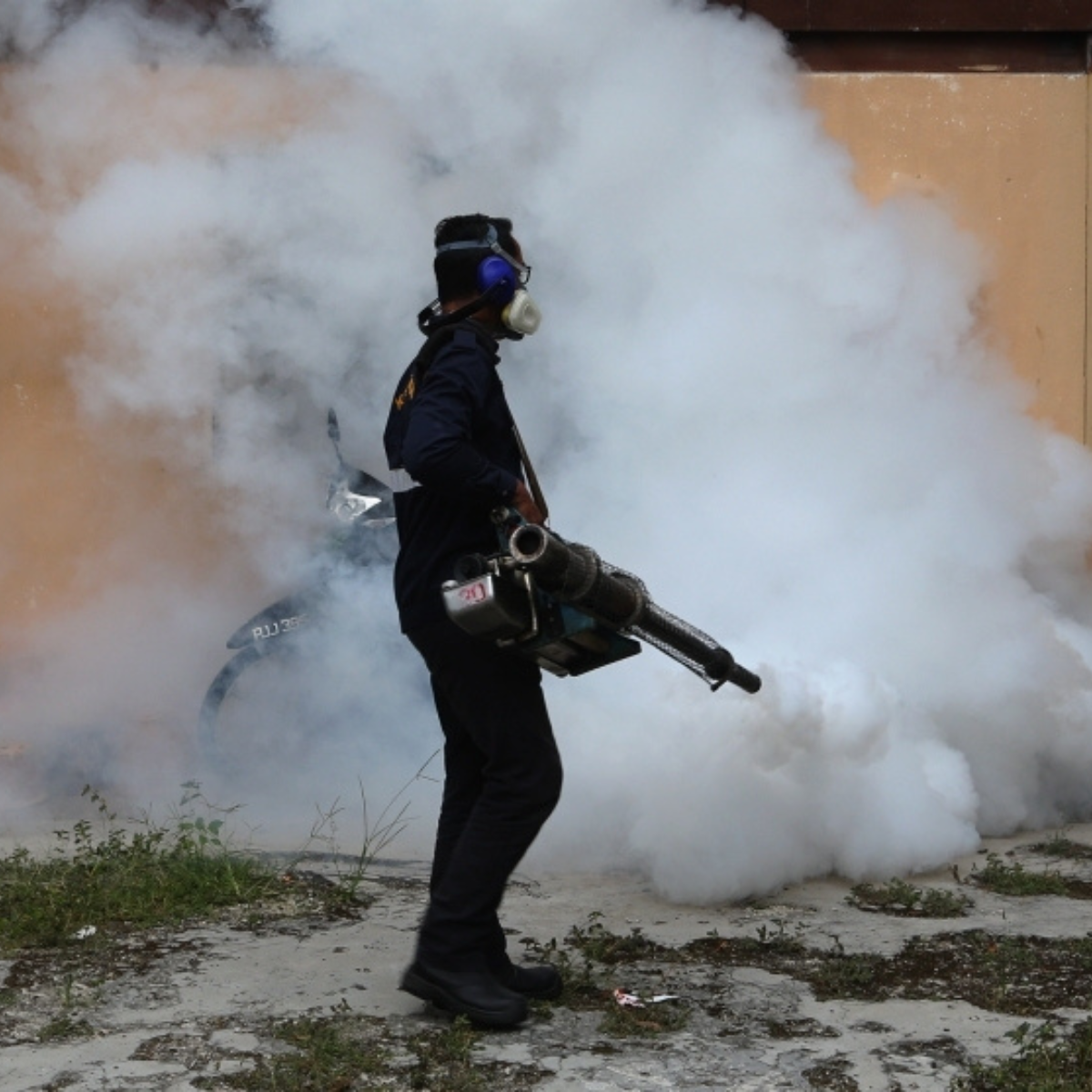 Selangor records a sharp 61% drop in dengue cases, with deaths nearly halved, says state executive councillor.