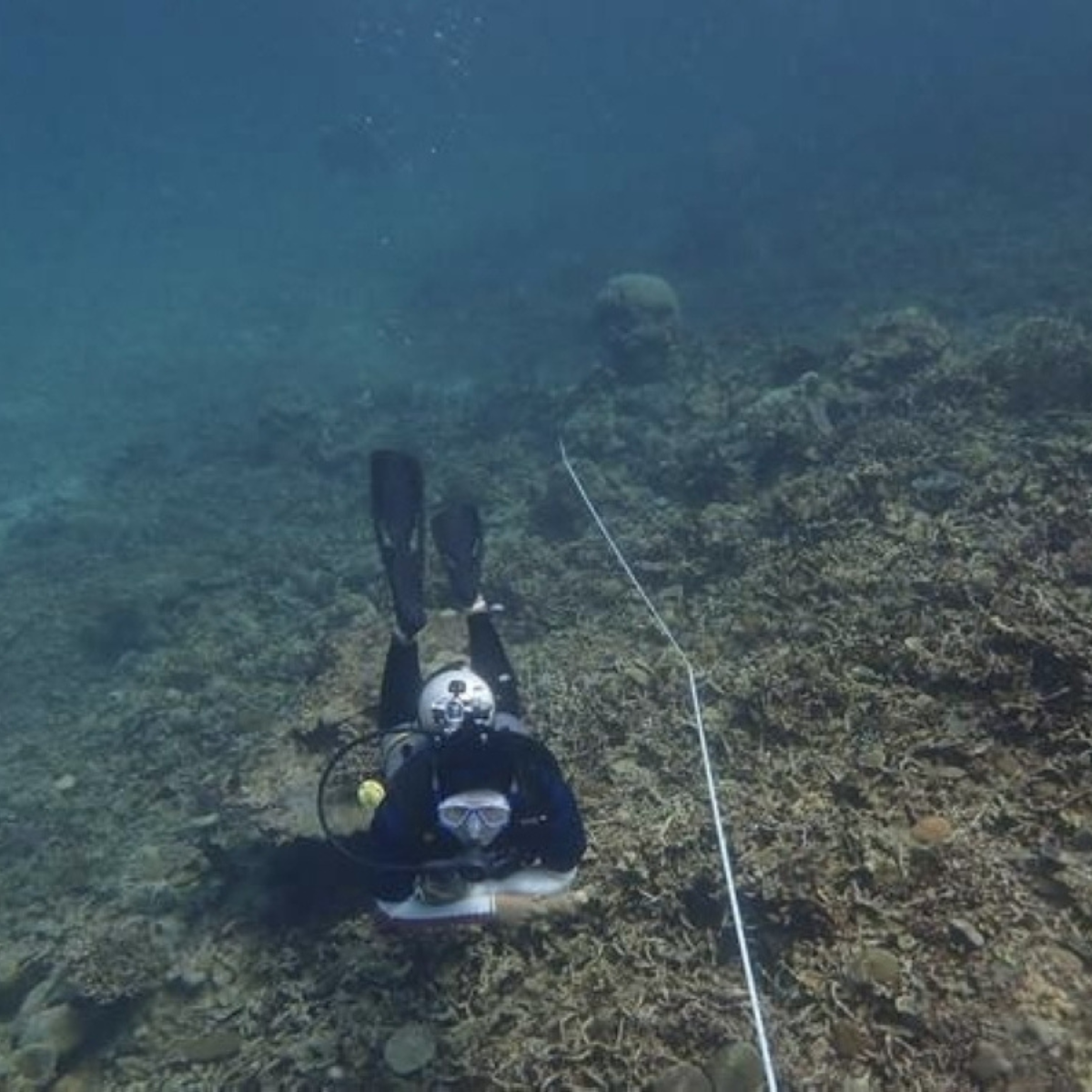 Malaysia has lost coral reef coverage equivalent to 47,250 football fields as bleaching and tourism pressure continue to degrade its reefs.