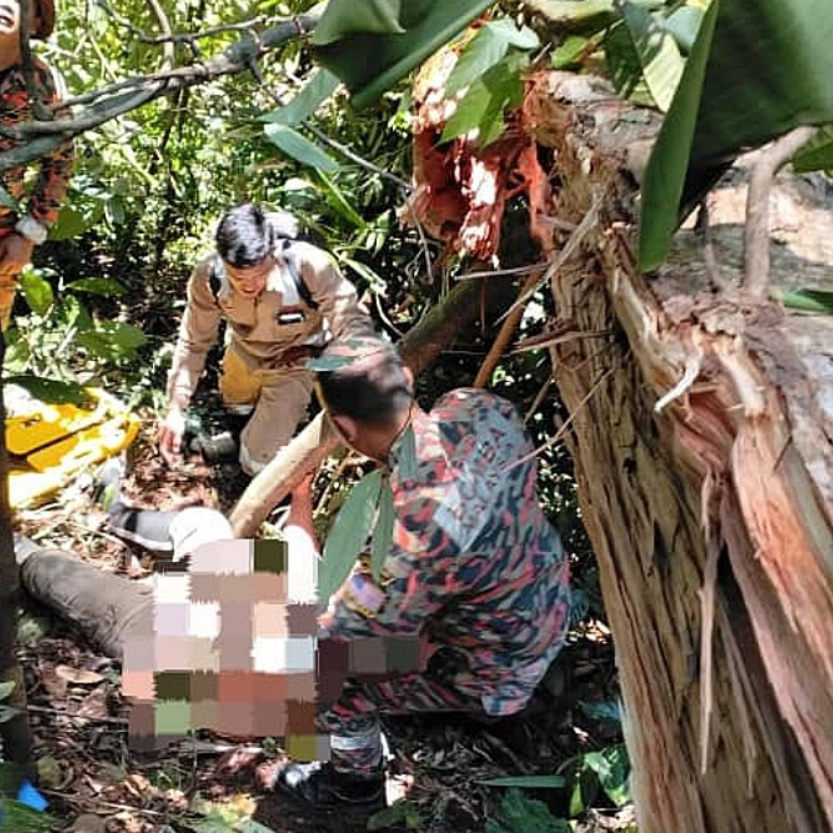Firefighters rescue government surveyor injured by falling tree in Sarawak forest