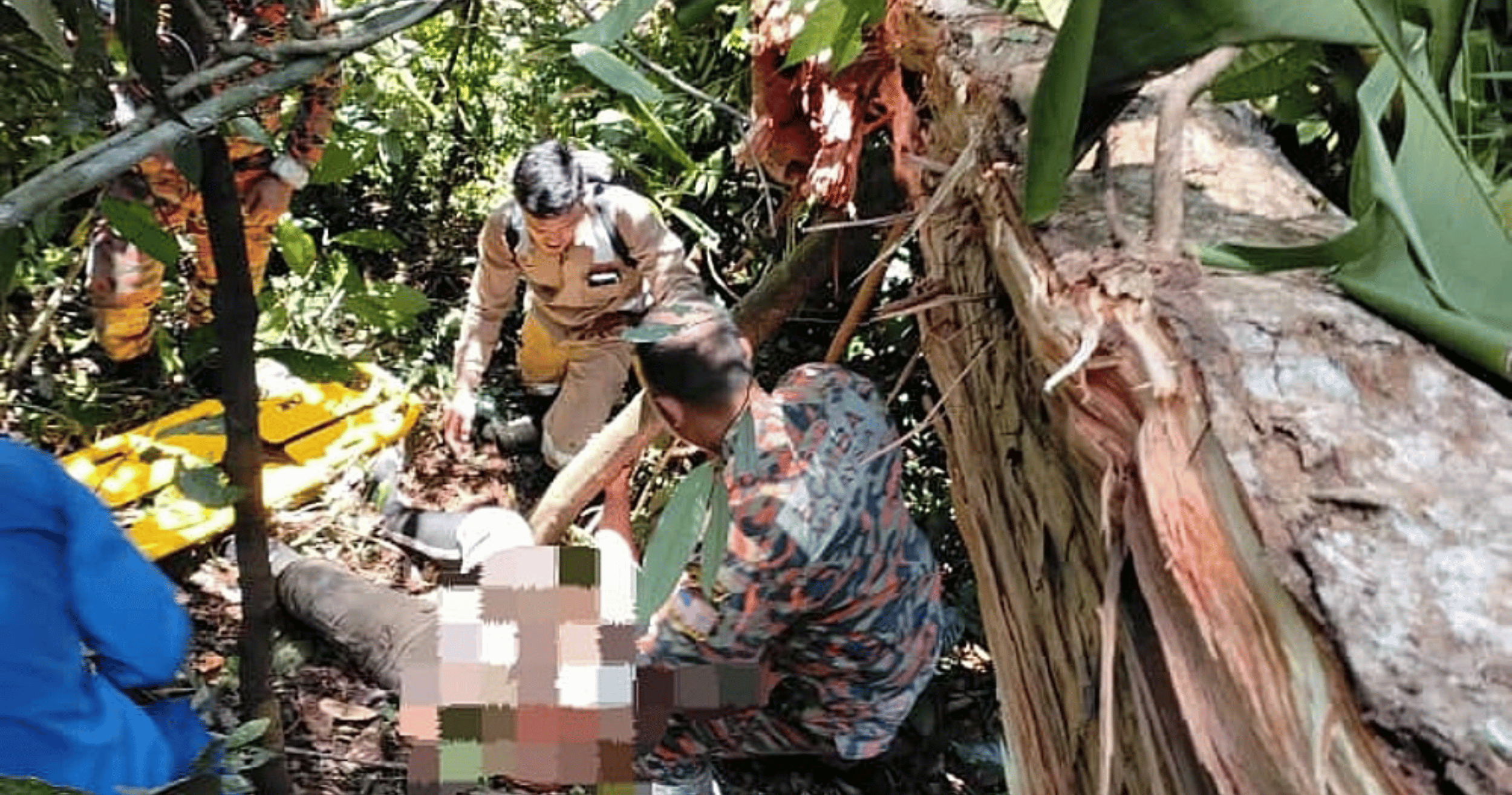 Firefighters rescue government surveyor injured by falling tree in Sarawak forest