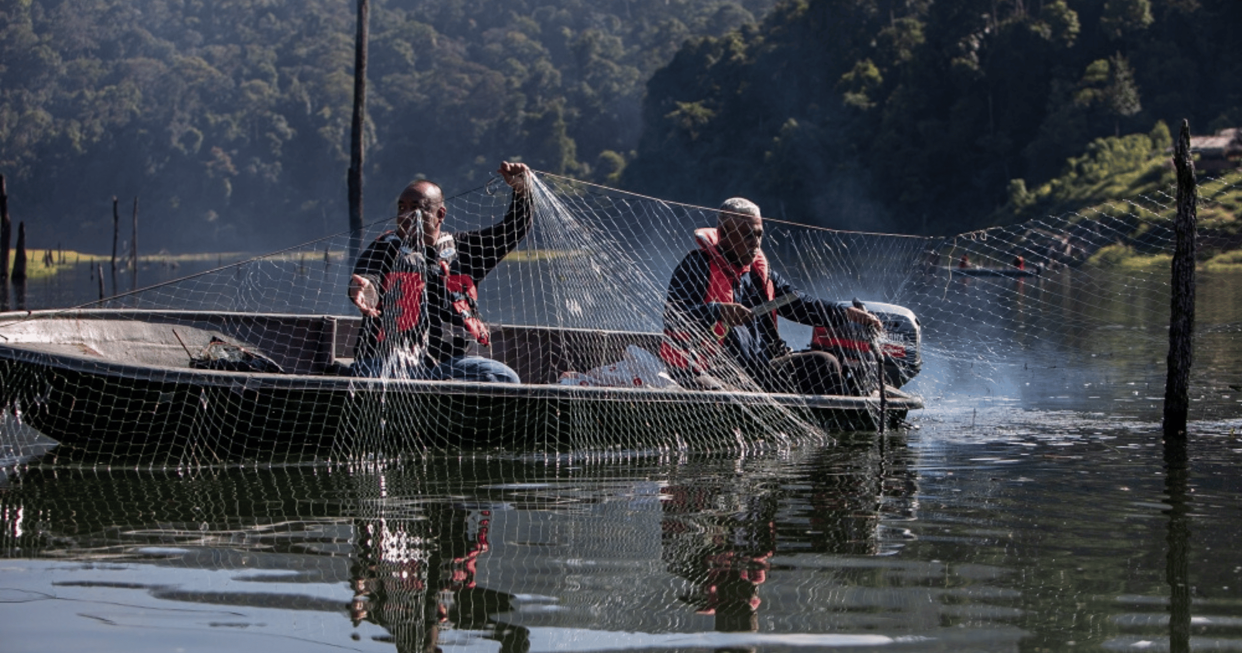 Inland fisheries boost Perak’s economy as state tops Malaysia in production share