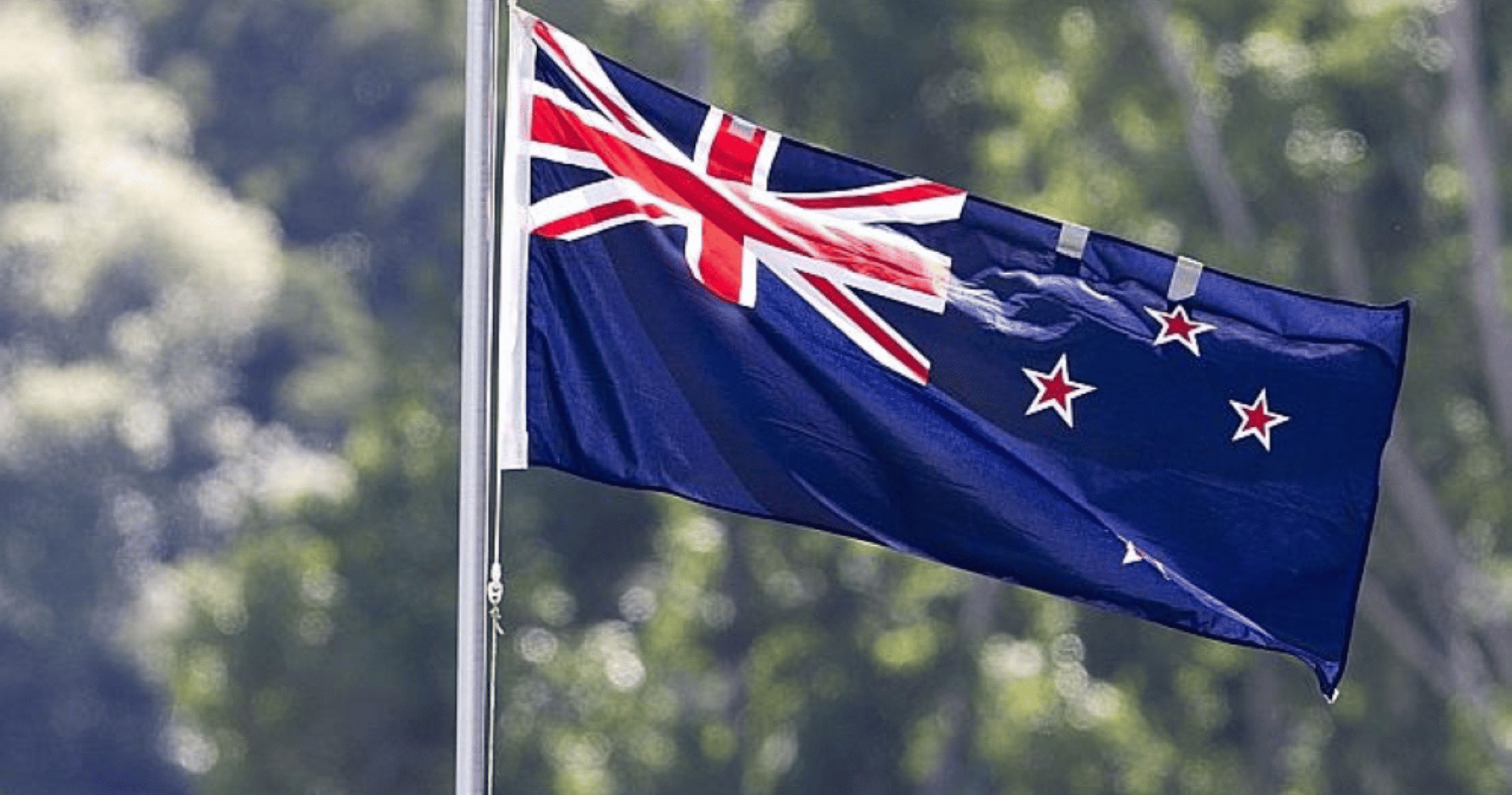 New Zealand minister draws backlash over ‘butter chicken tsunami’ remark on India deal