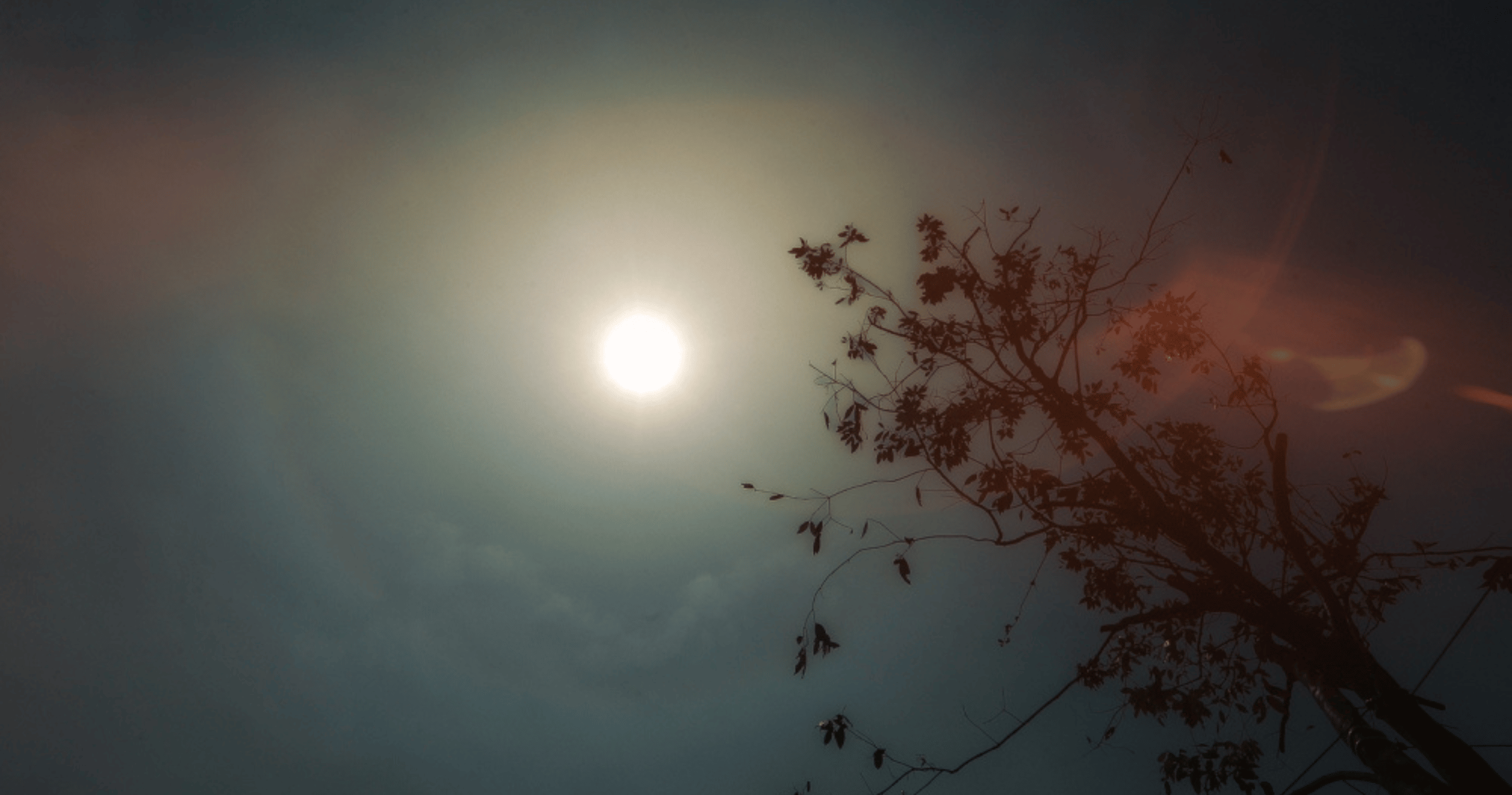 Terengganu schools suspend outdoor activities amid hot weather conditions