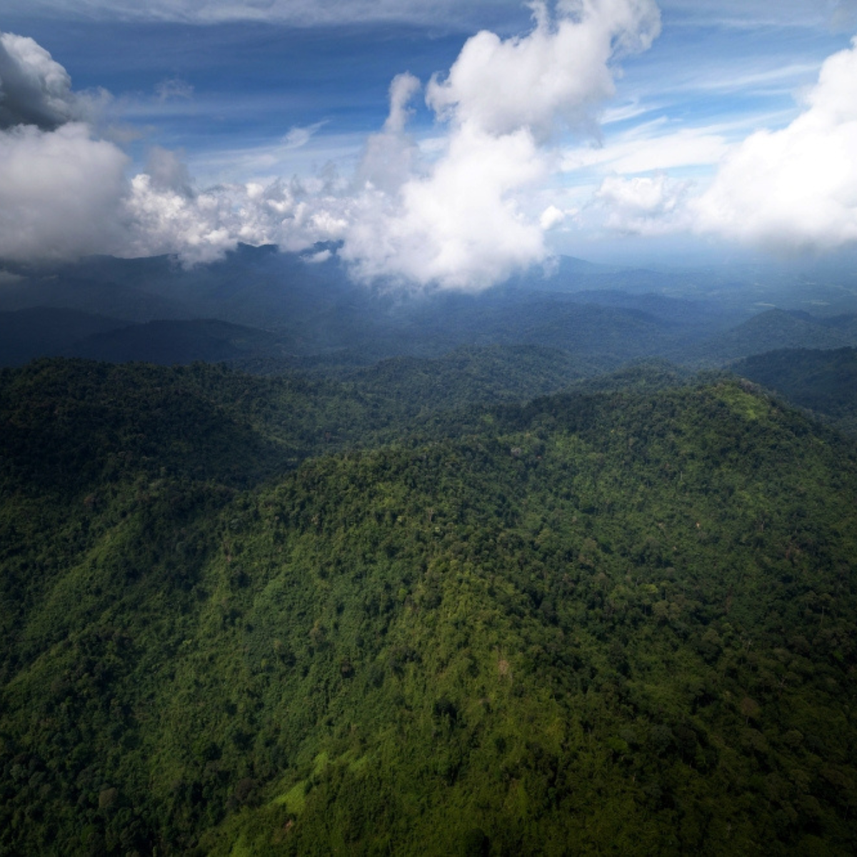 Missing hiker Jaslinda shares how she survived two weeks in the Tapah jungle without food or clean water