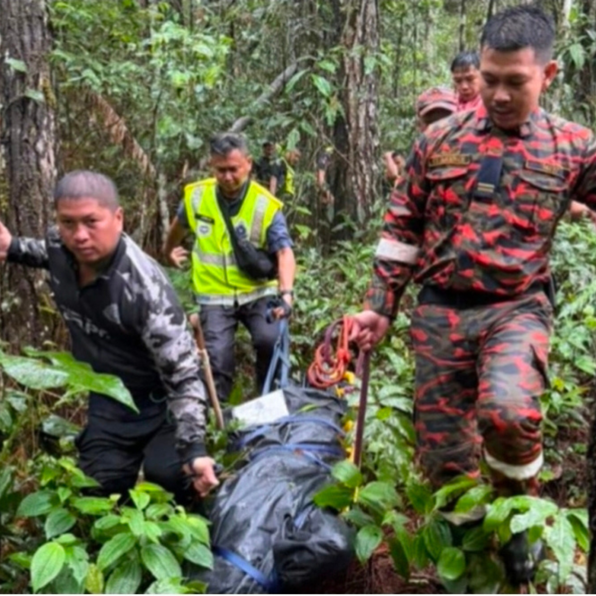 Villagers found the body of a 48-year-old man in the forest at Kampung Togudon Forest, with police in Penampang stating he is believed to have been struck by a falling tree.