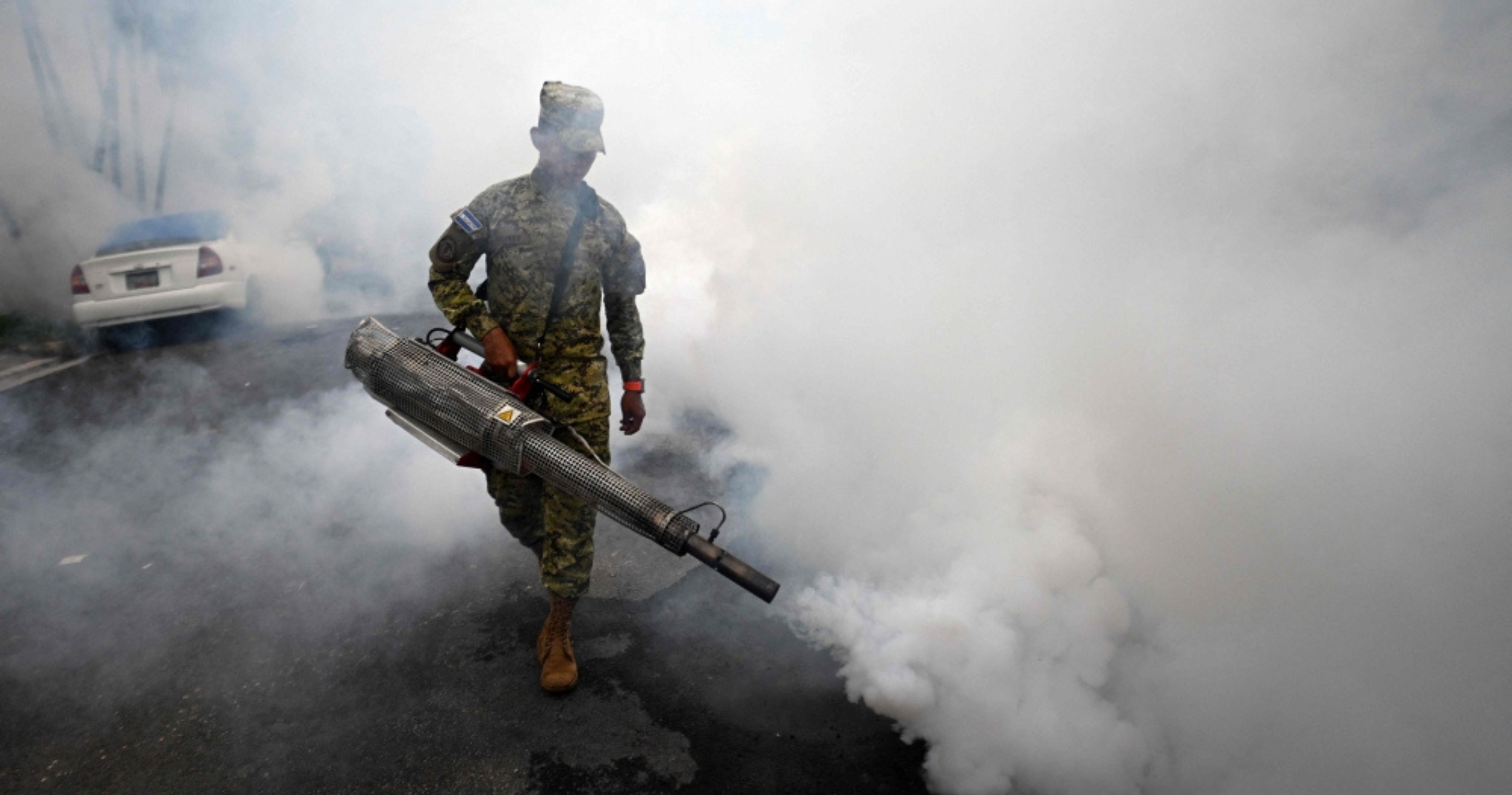 Dengue cases in Malaysia increased by nearly 30 per cent in the first half of 2026, but the Health Ministry says the outbreak remains under control.