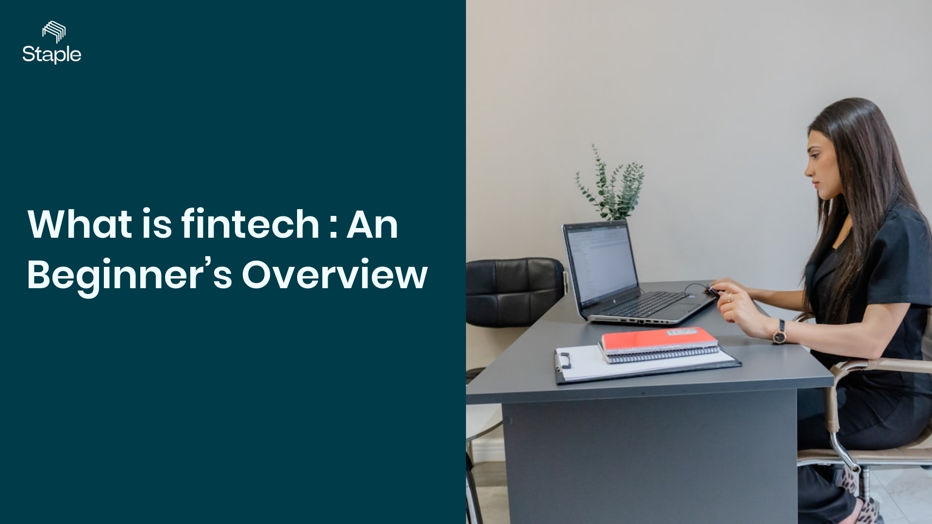 What is fintech : An Beginner’s Overview - Staple AI