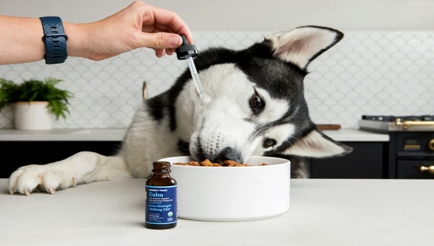 Pet supplement and grooming product example of most profitable products to sell online and things to sell online in the pet e-commerce market.