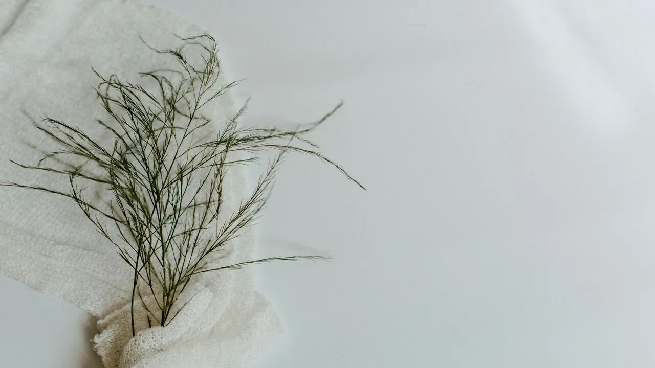 sustainable-fabrics