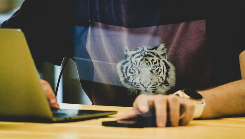 Stylized tiger graphic t-shirt representing popular shirt designs and modern trending t-shirt designs