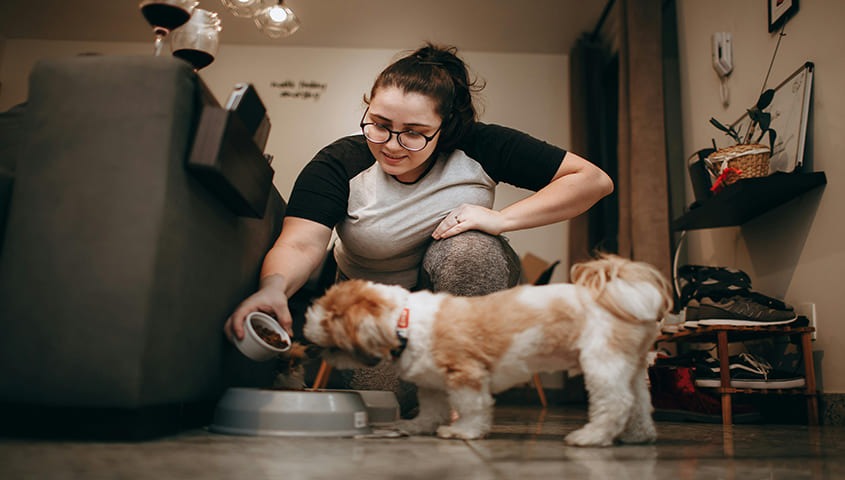 Provide a pet sitting service to make money fast as a woman