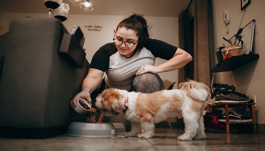 Offer a pet care service to make money from home