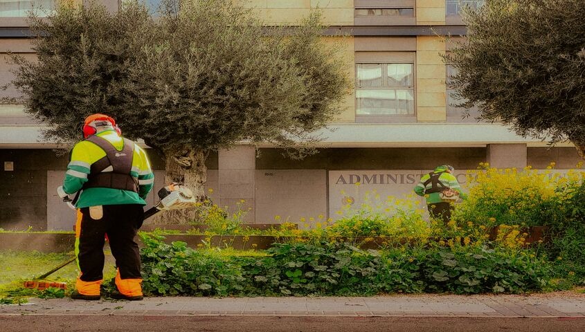 Grounds workers trimming vegetation in high-visibility gear, showing lawn care and handyman work as classic small business ideas that pay by the weekend.