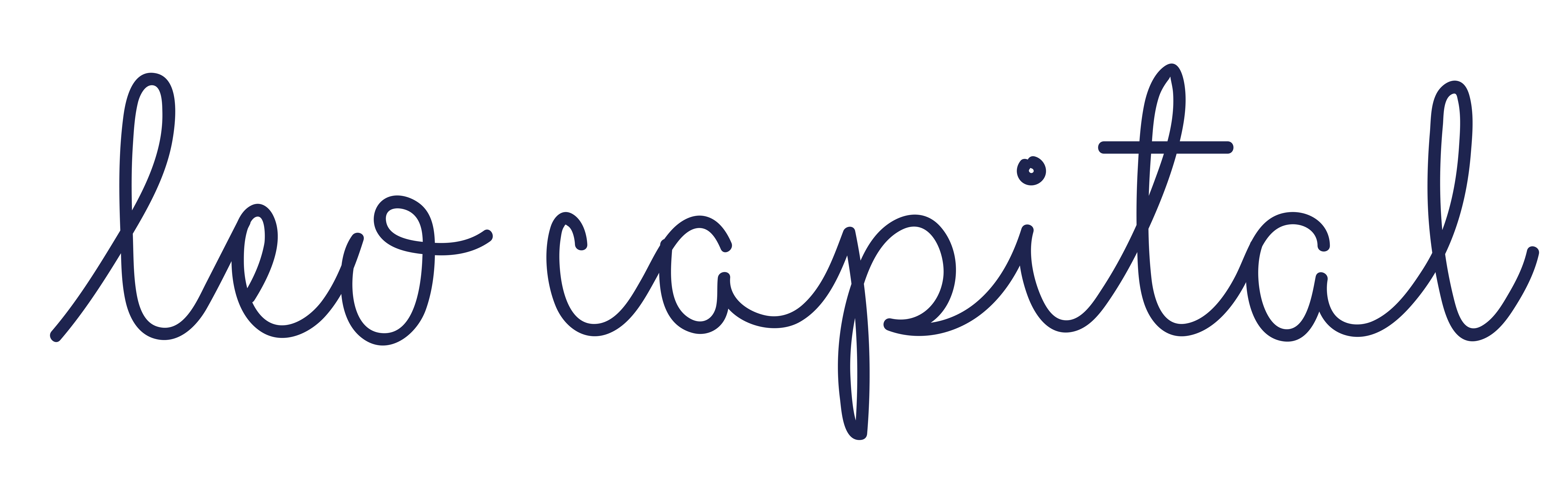 Leo Capital logo