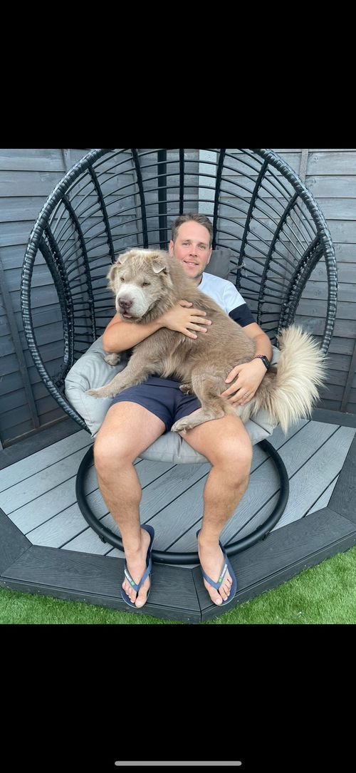 Patrick Buckingham Patrick Buckingham