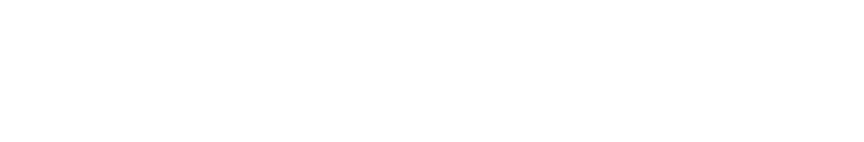 Forcepoint logo