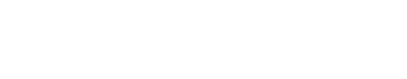 New Relic logo