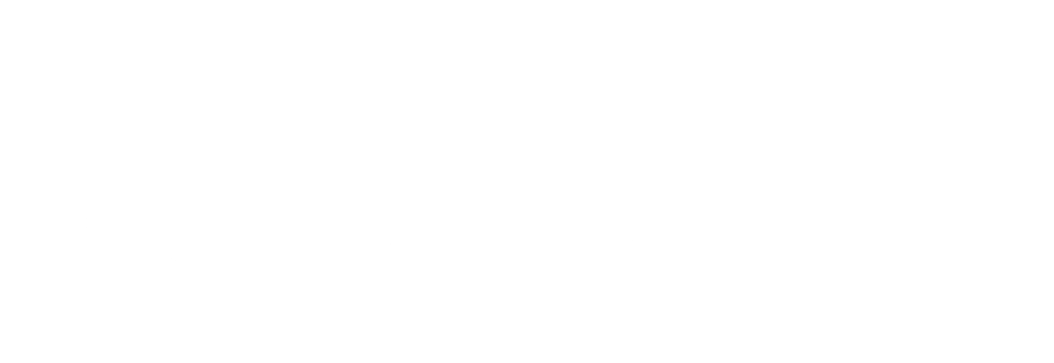 Breeze Airways logo