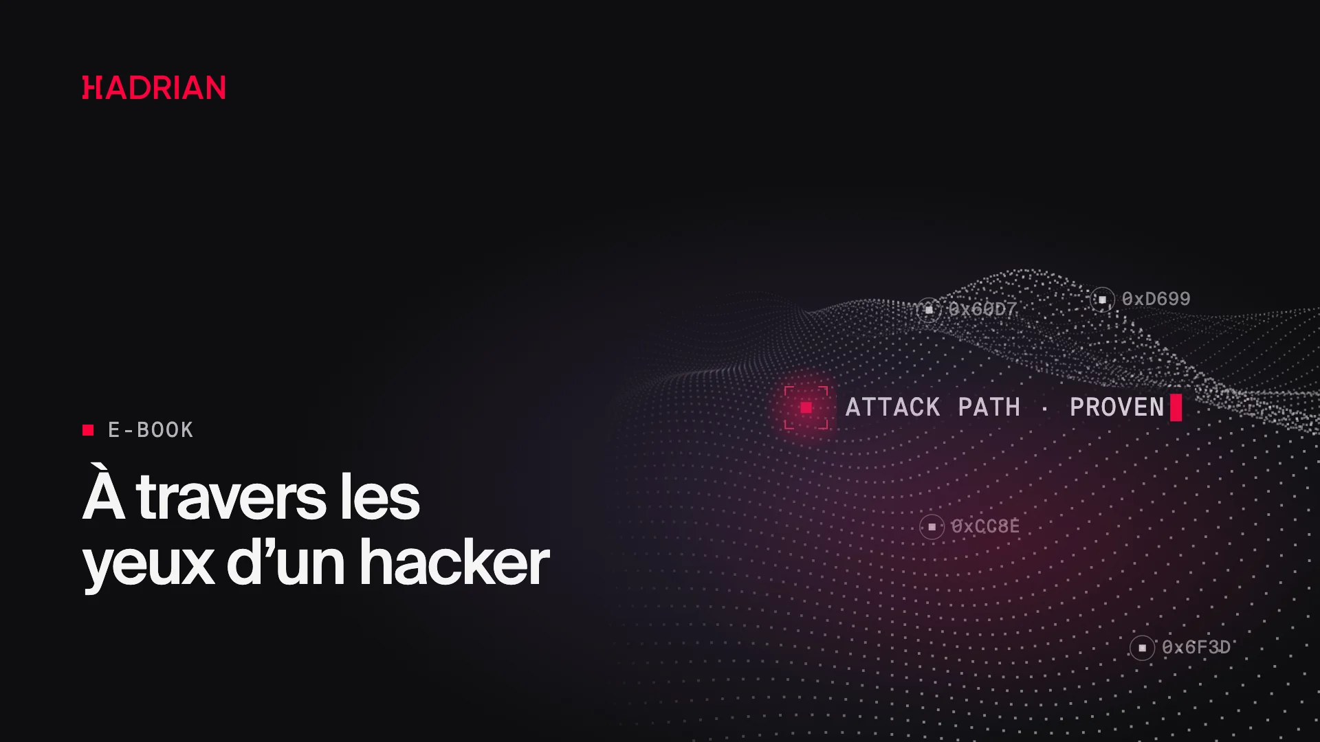 À travers les yeux d’un hacker