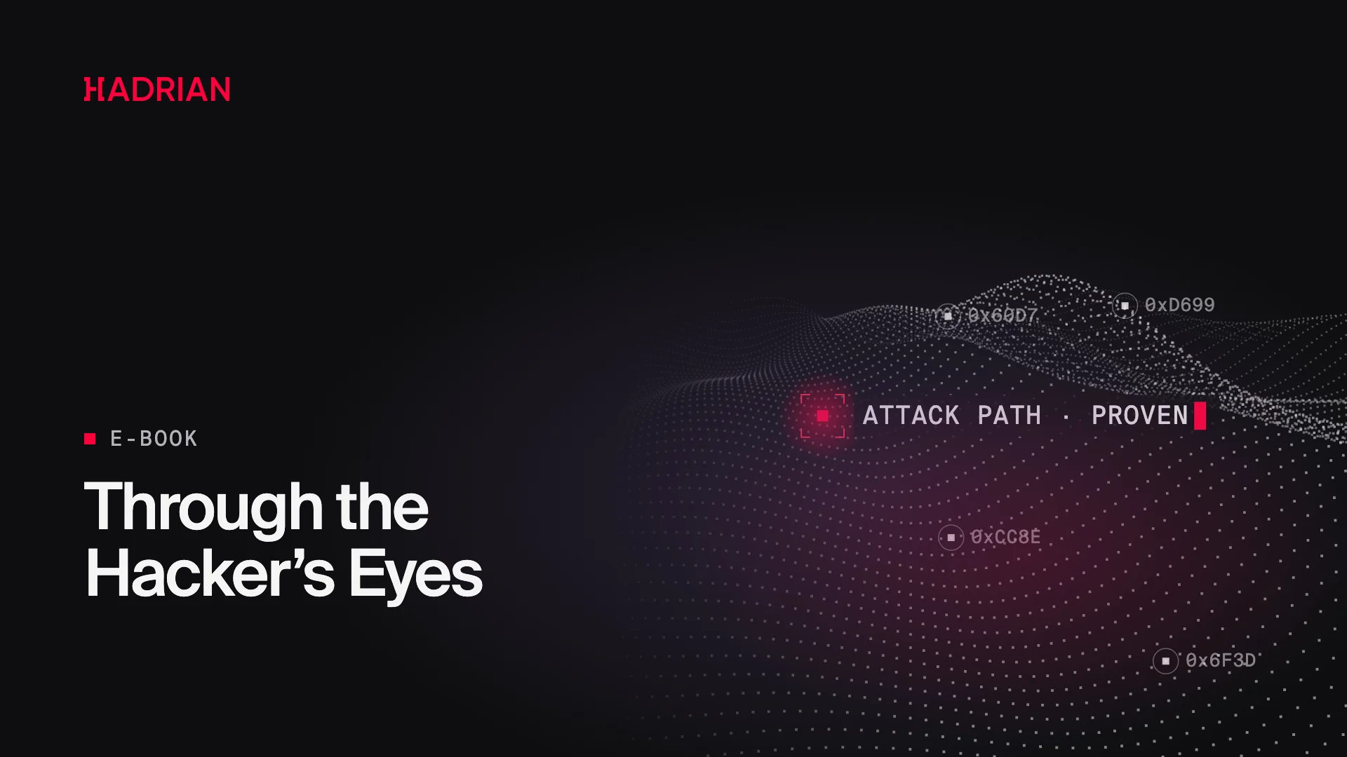 Through the Hacker’s Eyes