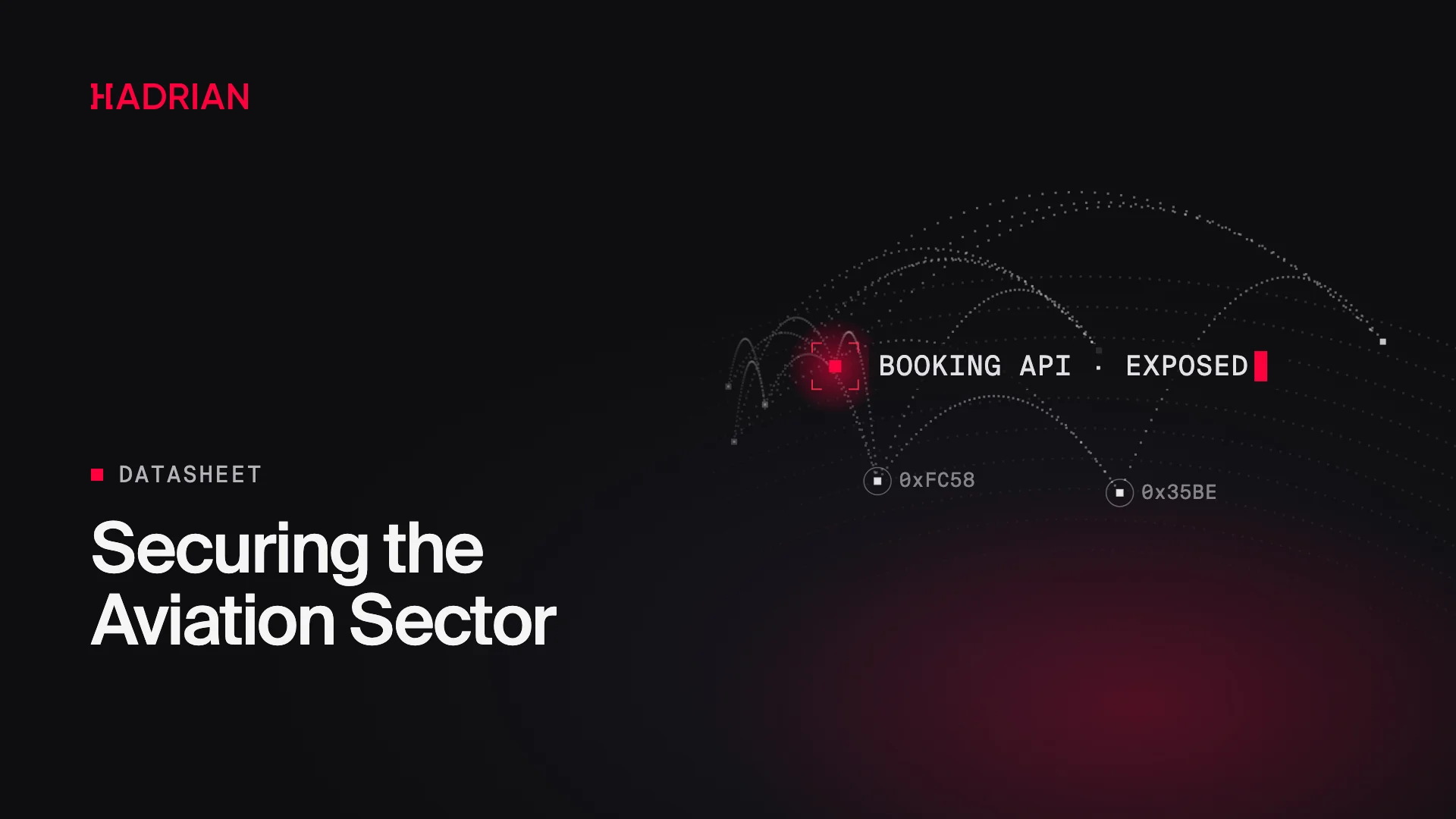 Securing the Aviation Sector