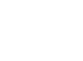 Ukrshina
