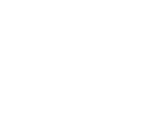 The Elixir