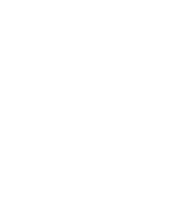 Охоронний холдинг