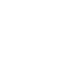Lonza Shoes
