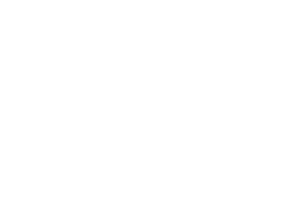 Bogemia
