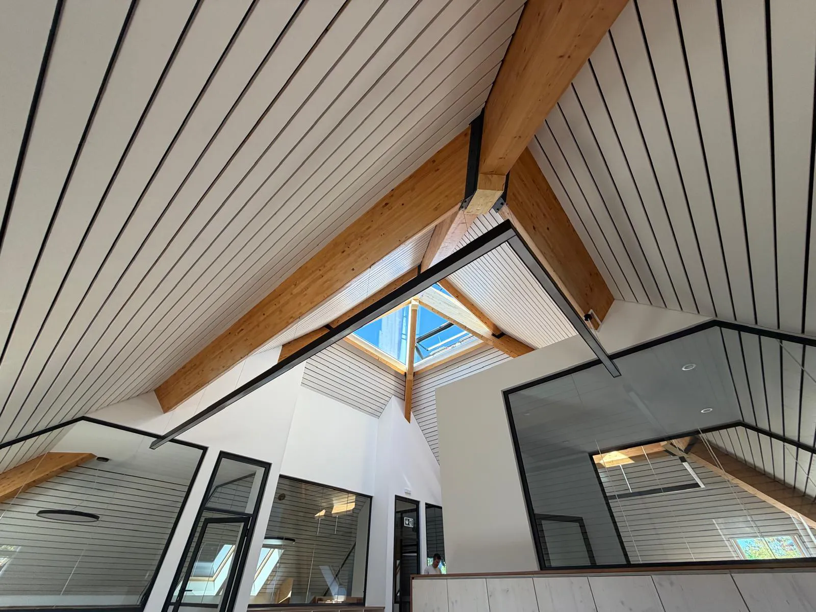 Rénovation complète intérieur de la SVPA avec Aubert Architectes SA.
