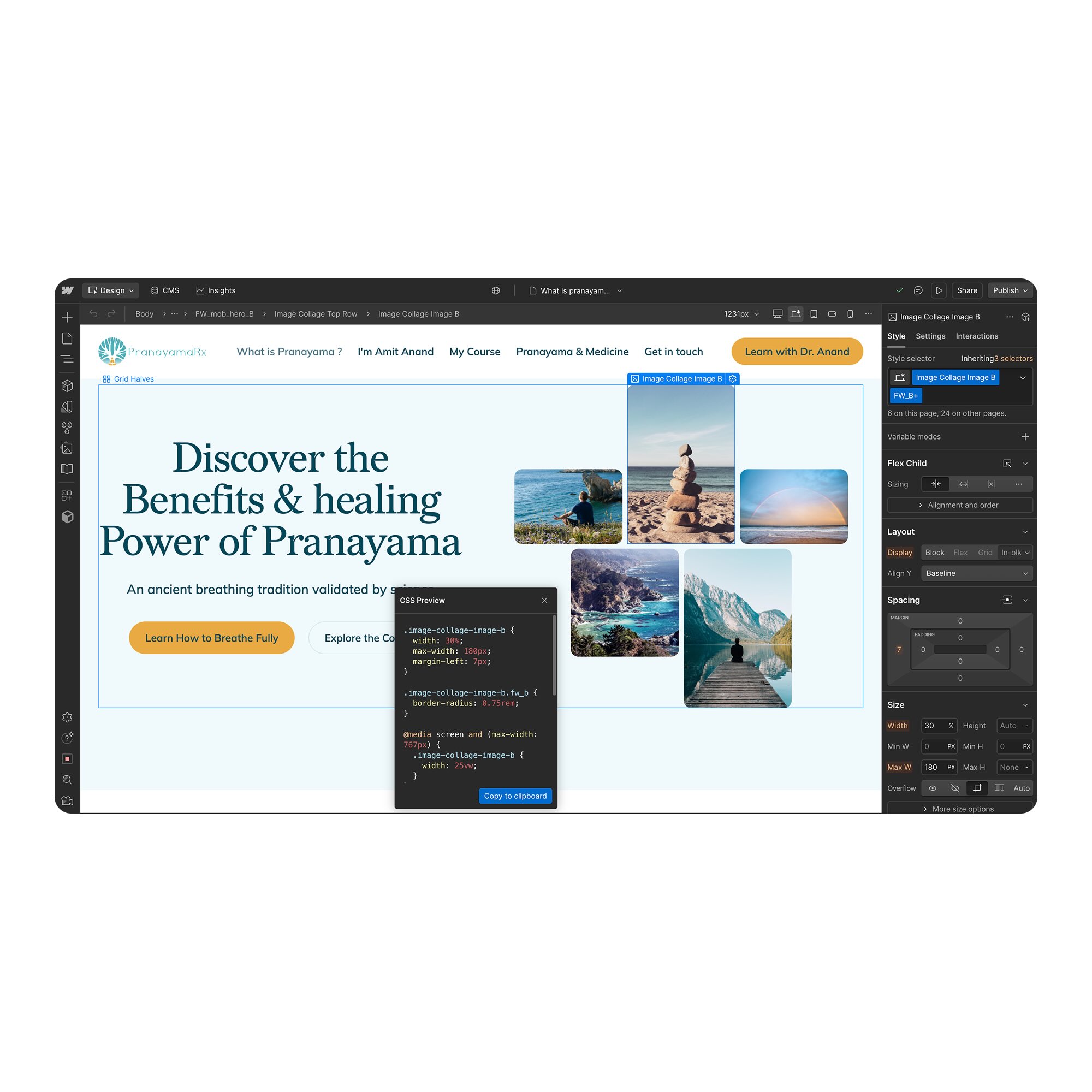 Web design interface showing a webpage for PranayamaRx with a collage of nature photos and text about the benefits and healing power of Pranayama.