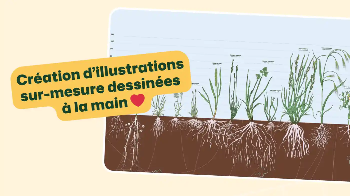 Illustration botanique détaillée de différentes plantes avec leurs racines, accompagnée du texte 'Création d’illustrations sur-mesure dessinées à la main avec amour'. L’image met en avant le travail manuel et artistique dans la création d’illustrations scientifiques et éducatives.