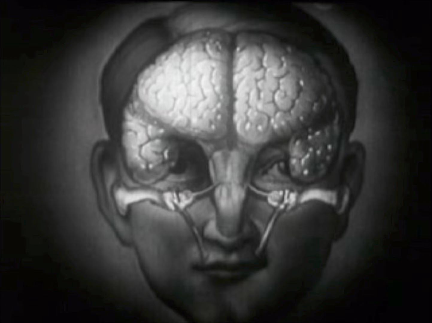 MUD Foundation The Sound of Art Experimental Music and Sound Art Program, featuring a black-and-white anatomical illustration of a human head showing the brain, eye structures, and optic nerves connecting the eyes to the brain.