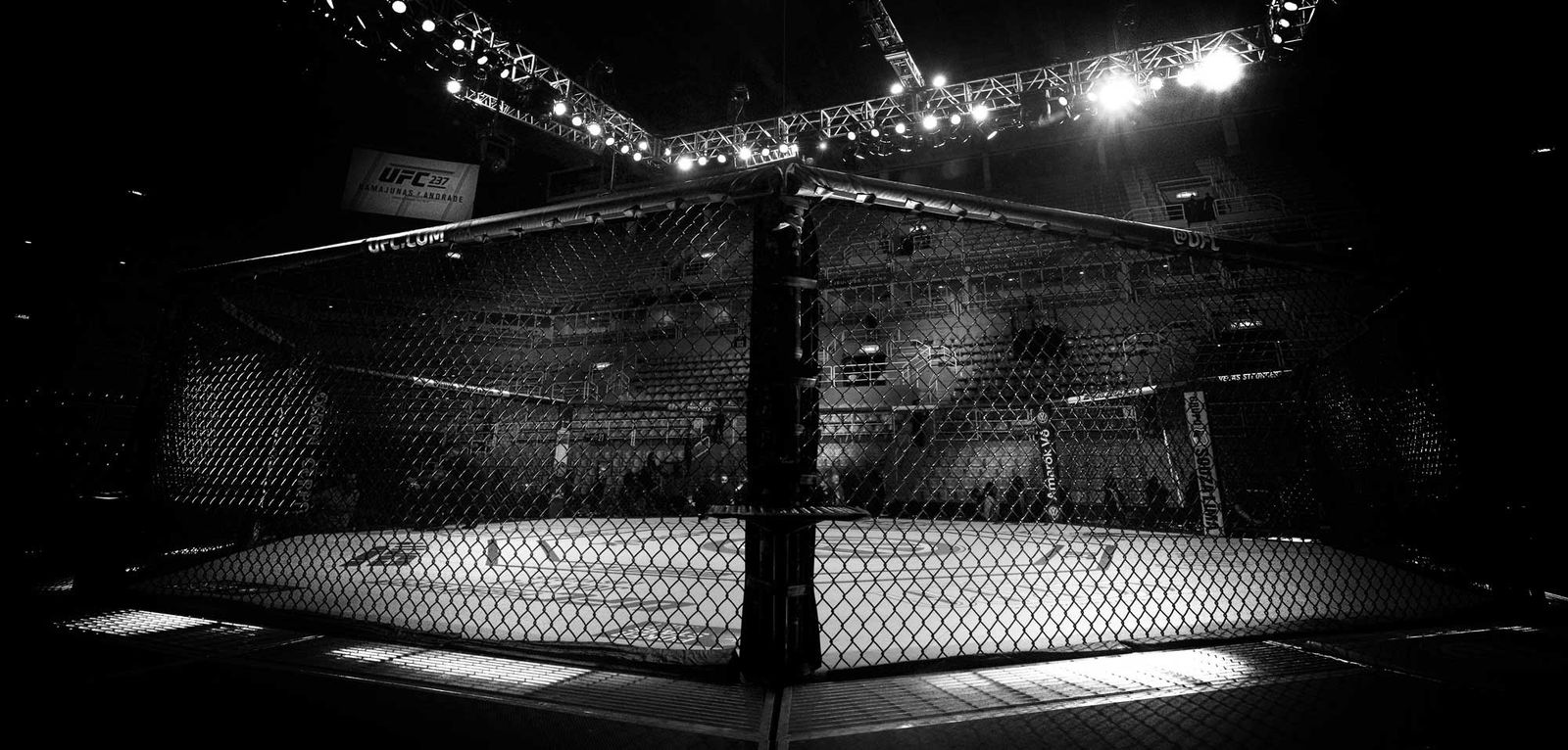 TEAM - UFC Performance Institute