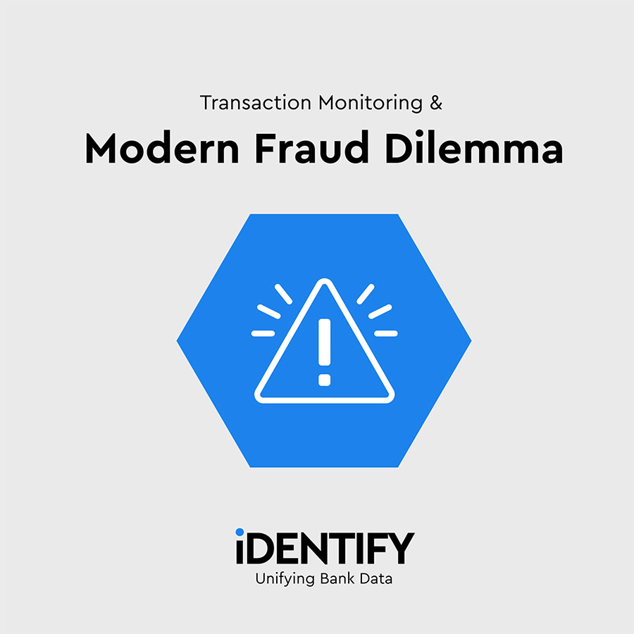 Catch Me If You Can: Transaction Monitoring and the Modern Fraud Dilemma