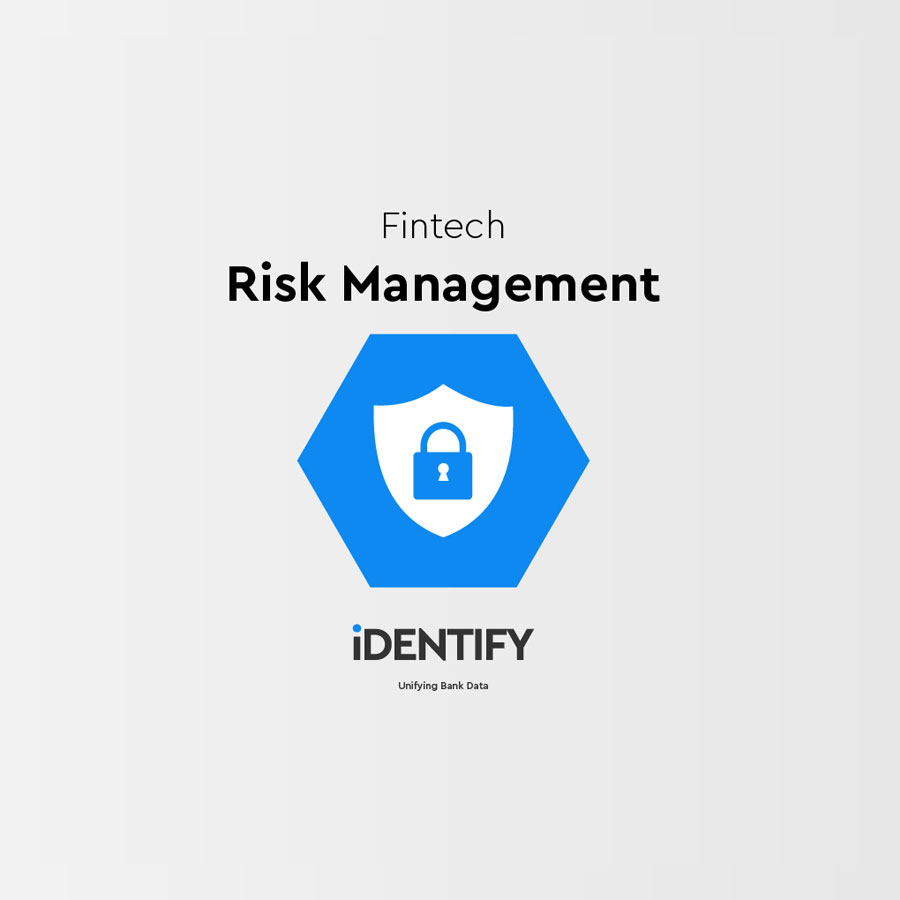 Risk Management for Fintech