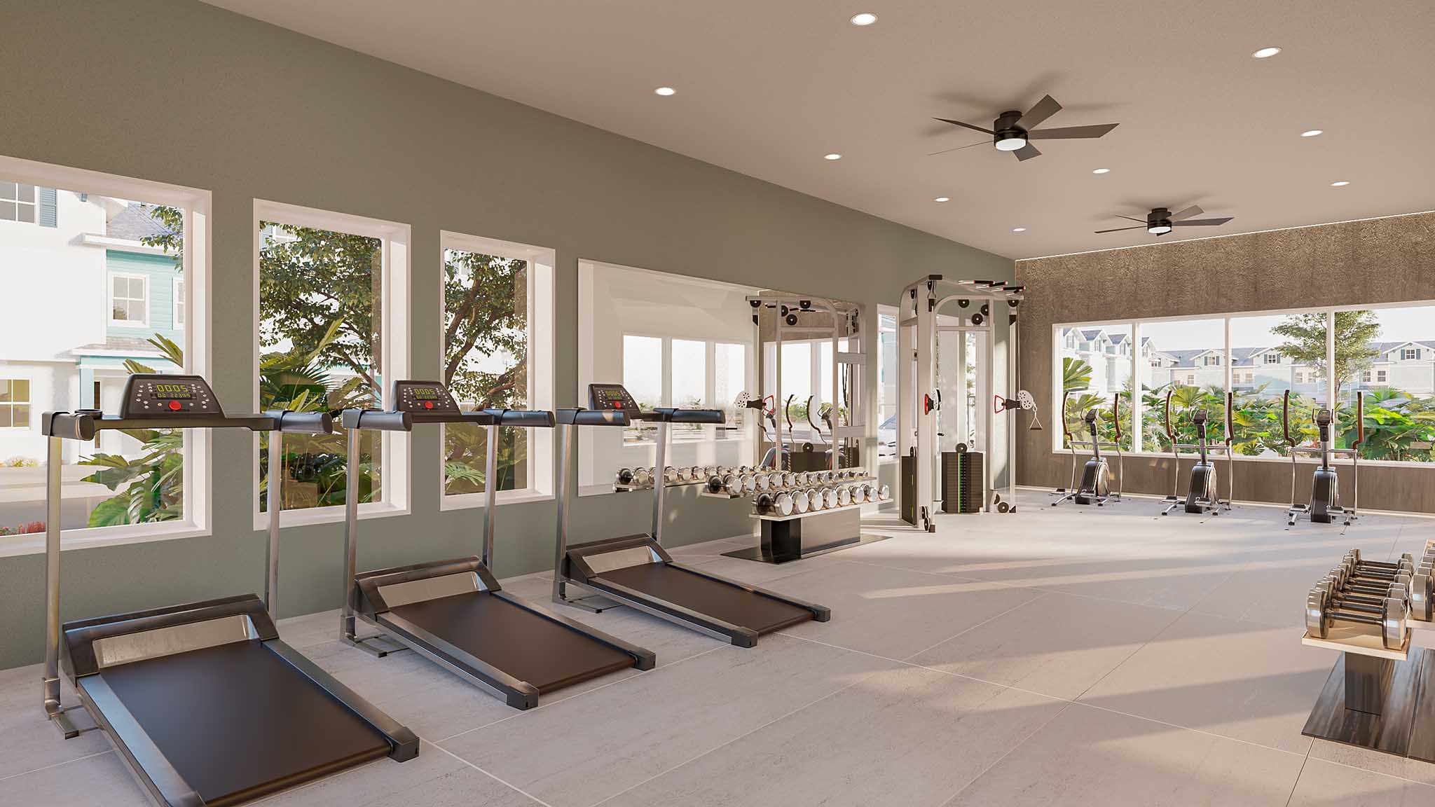 Modern gym with treadmills, dumbbells, weight machine, and exercise bikes near large windows.