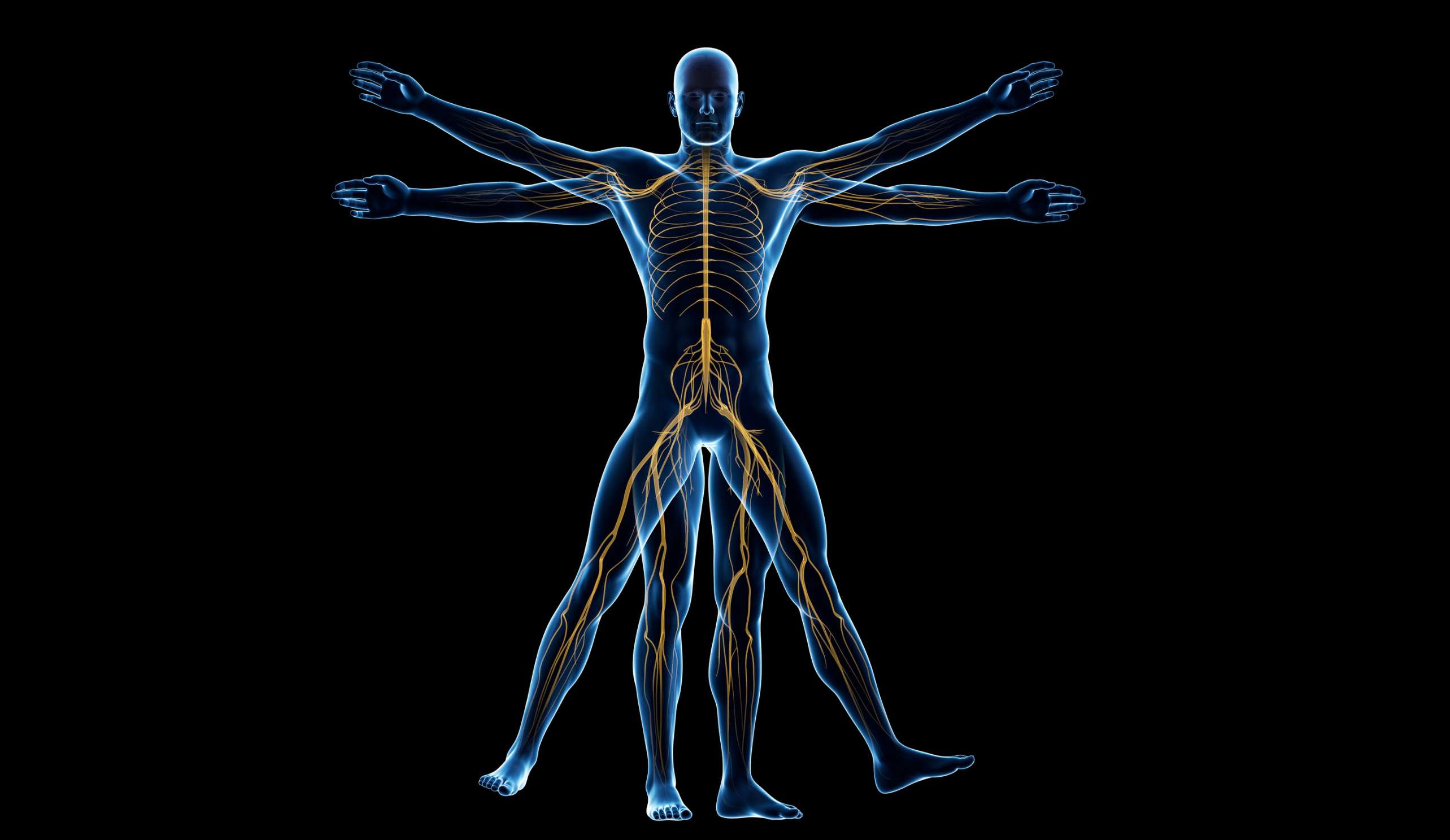 Why Your Nervous System Loves Chiropractic Care