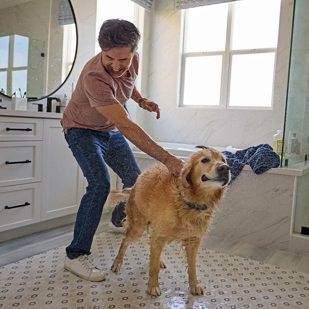 Man playfully bathes a wet golden retriever in a bright bathroom, water splashing everywhere.