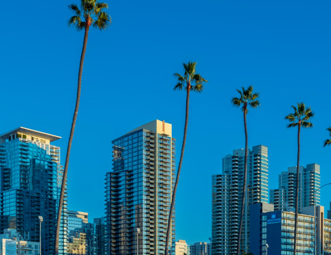 Tall palm trees in front of the downtown San Diego high-rise skyline against a clear blue sky.